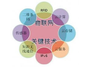 賽億科技 驅動萬物互聯，網絡技術賦能智慧未來